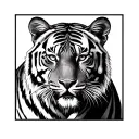 Bengal Tiger tattoo design idea