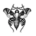 I am looking for a deaths head hawk moth in black and white tattoo design idea
