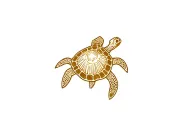 golden shellback turtle tattoo design idea