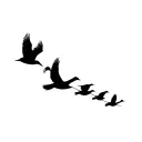4 birds, a canary, swan, a second canary and nightingale flying in a line, blackout tattoo design idea