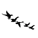 4 birds, a canary, swan, a second canary and nightingale flying in a line, blackout tattoo design idea
