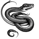 1000 cobras tattoo design idea