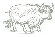 cute highland cow grazing tattoo design idea