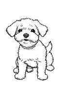 "Dexter" Bichon Frérice Dog tattoo design idea