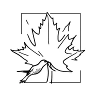 Maple Leaf and hummingbird surrounded tattoo design idea
