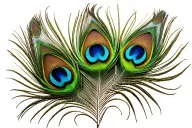 peacock feather tattoo design idea