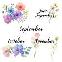 Watercolour of combined birth month flowers of all the following June, September, October and November  tattoo design idea