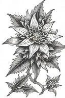 edelweiss flower tattoo design idea