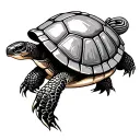 shellback turtle tattoo design idea