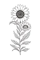 Slavic patterns inkluding  sunflowers and chamomile and birch leaves  tattoo design idea