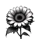 Gerbera tattoo design idea