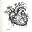 historical 1830s anatomical heart diagram interior veins are like lightning bolts in a Frankenstein-esque gothic lit gay tattoo design idea