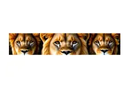 lioness and lion and 2 cubs face only god tattoo design idea