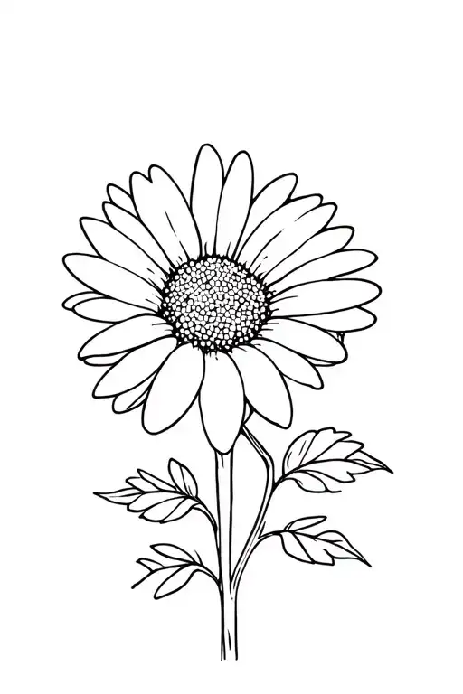 Simple thin line drawing of a daisy with poison ivy leaves tattoo design idea