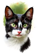 Male, Black and white cat, green eyes, pink nose, memorial tattoo design idea