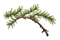 cedar branch tattoo design idea