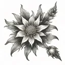 Edelweiss tattoo design idea