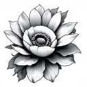 Anemone tattoo design idea