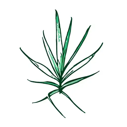 Aloe plant color simple pretty tattoo design idea