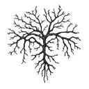 Smooth, branching lines like soft energy veins or delicate roots. Organic and calm, no shading, natural anatomical flow. tattoo design idea