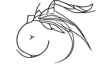 ALEXANDER PISCES MEDELLIN tattoo design idea