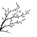 apple tree branches tattoo design idea