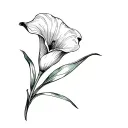 calla lily tattoo design idea