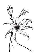 SPIDER LILY  WITH BLACK WIDOW  tattoo design idea