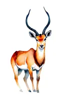 Springbok tattoo design idea