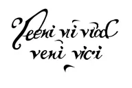 Veni vidi vici tattoo script font intertwined dragon, very dainty tattoo design idea