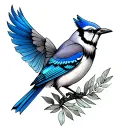Bluejay tattoo design idea