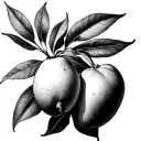 mangoes tattoo design idea