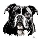 Staffy tattoo design idea