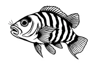 striped squirrelfish with simple lines and standard fish outline tattoo design idea