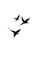 "Namakula Najja came" 4 Iwa Birds flying together tattoo design idea