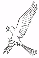 flying Kea parrot tattoo design idea