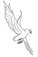flying Kea parrot tattoo design idea