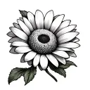 Marguerite without stem tattoo design idea
