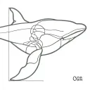 an eye of orca whale tattoo design idea