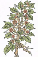 fig tree growing tattoo design idea
