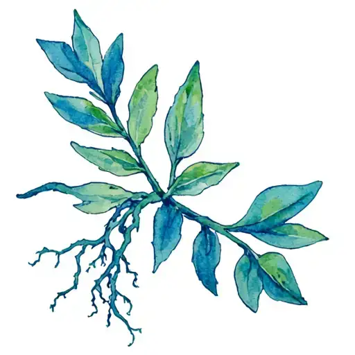 clary sage sprig with roots like the tree of life without a background tattoo design idea