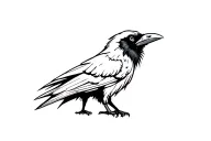 mocking raven tattoo design idea