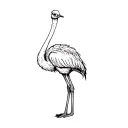 Ostrich tattoo design idea