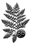 Autumn leaves pinecones snow fern leaf tattoo design idea
