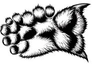 wolf paw print tattoo design idea