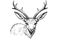 jackalope with ears down tattoo design idea