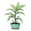 jade plant tattoo design idea