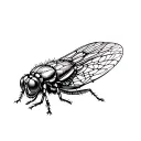 cicada tattoo design idea