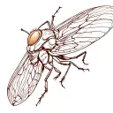 cicada tattoo design idea