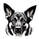 Belgian Malinois tattoo design idea